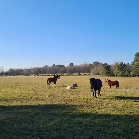 Casa de Férias La Gouletterie Classe 3* Avec Piscine *