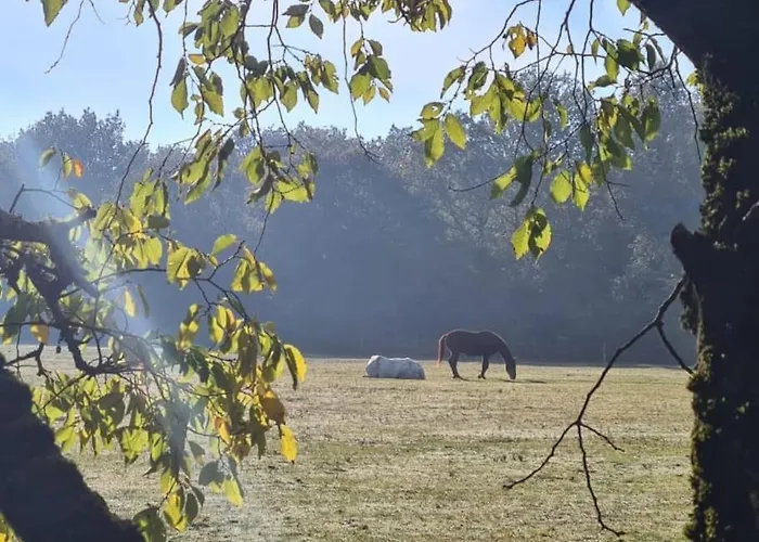 La Gouletterie Classe 3* Avec Piscine Ferienhaus Thoree-les-Pins